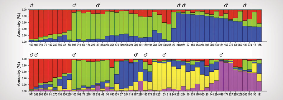 research papers with histograms research papers with histograms