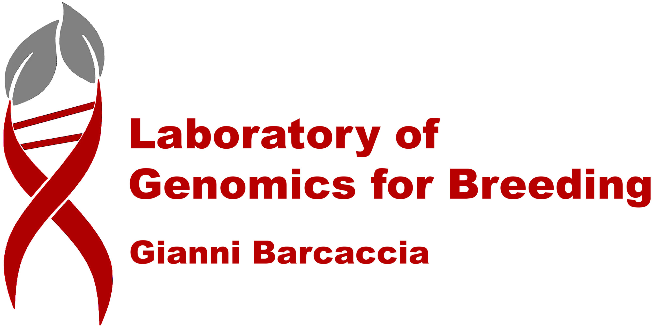 Gianni Barcaccia Logo